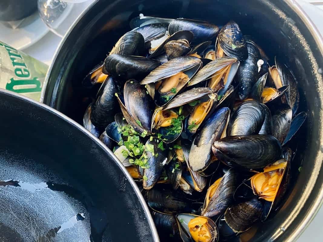 Mussels