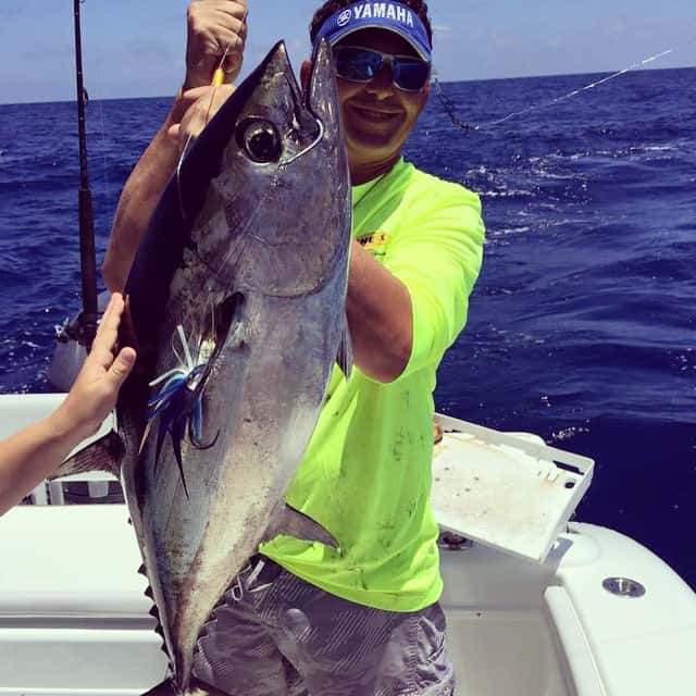 Blackfin Tuna