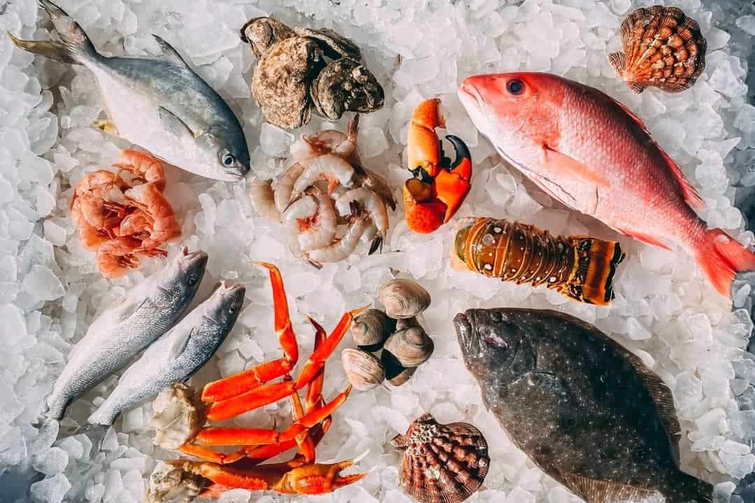 Is Seafood Halal