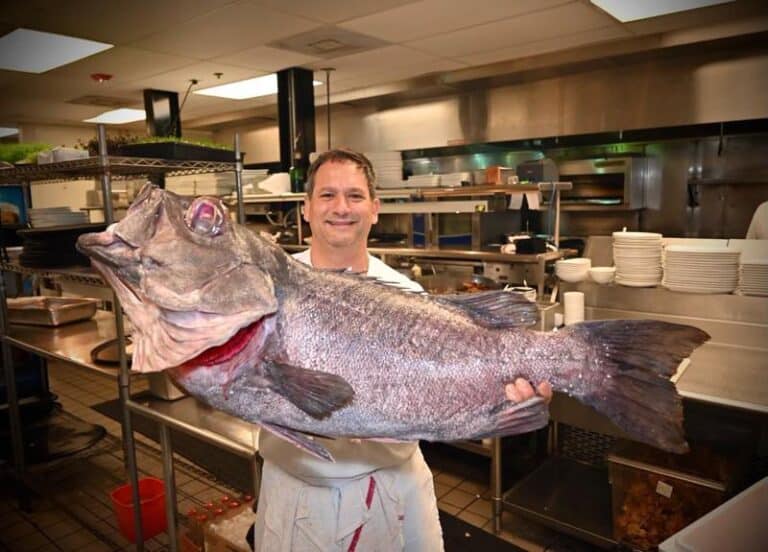 9 Best Seafood Restaurants in Louisville, KY 2023