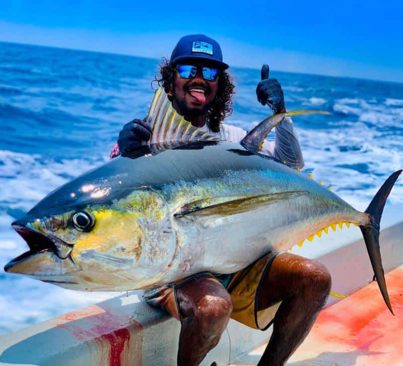 Yellowfin Tuna