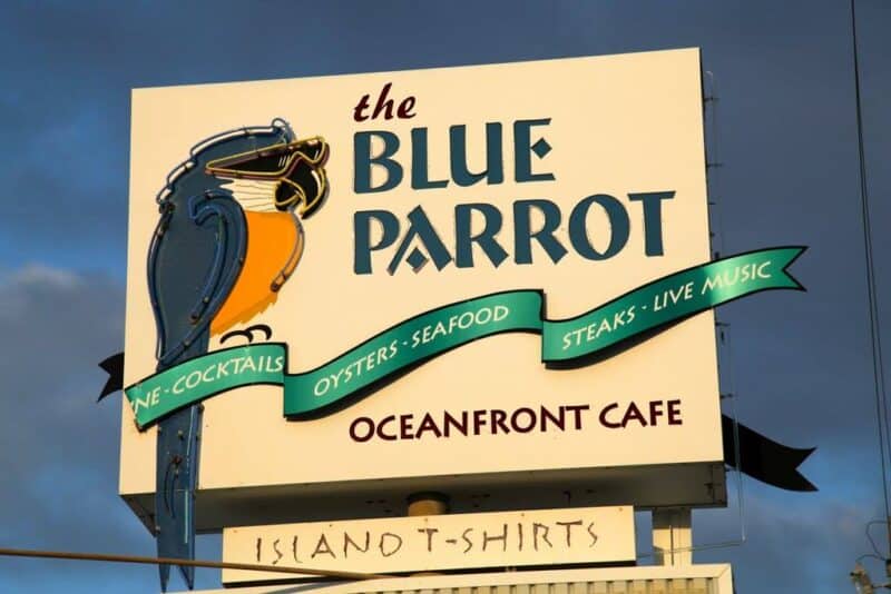 Blue Parrot Ocean Front Café