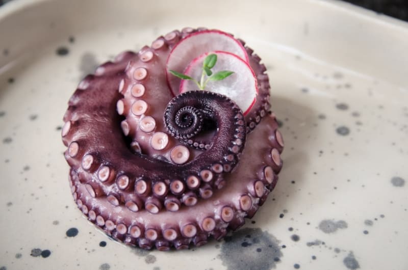 Octopus