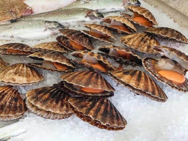 The 15 Popular Types of Shellfish to Eat Oak Rowan Foodie