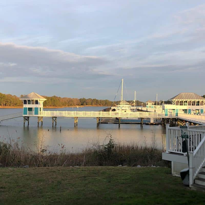 The Oyster Farm Seafood Eatery