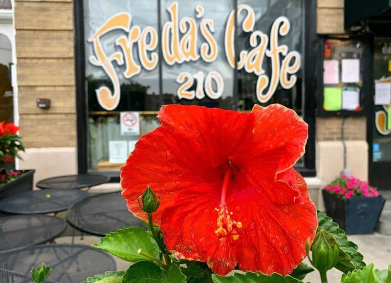 Freda’s Café